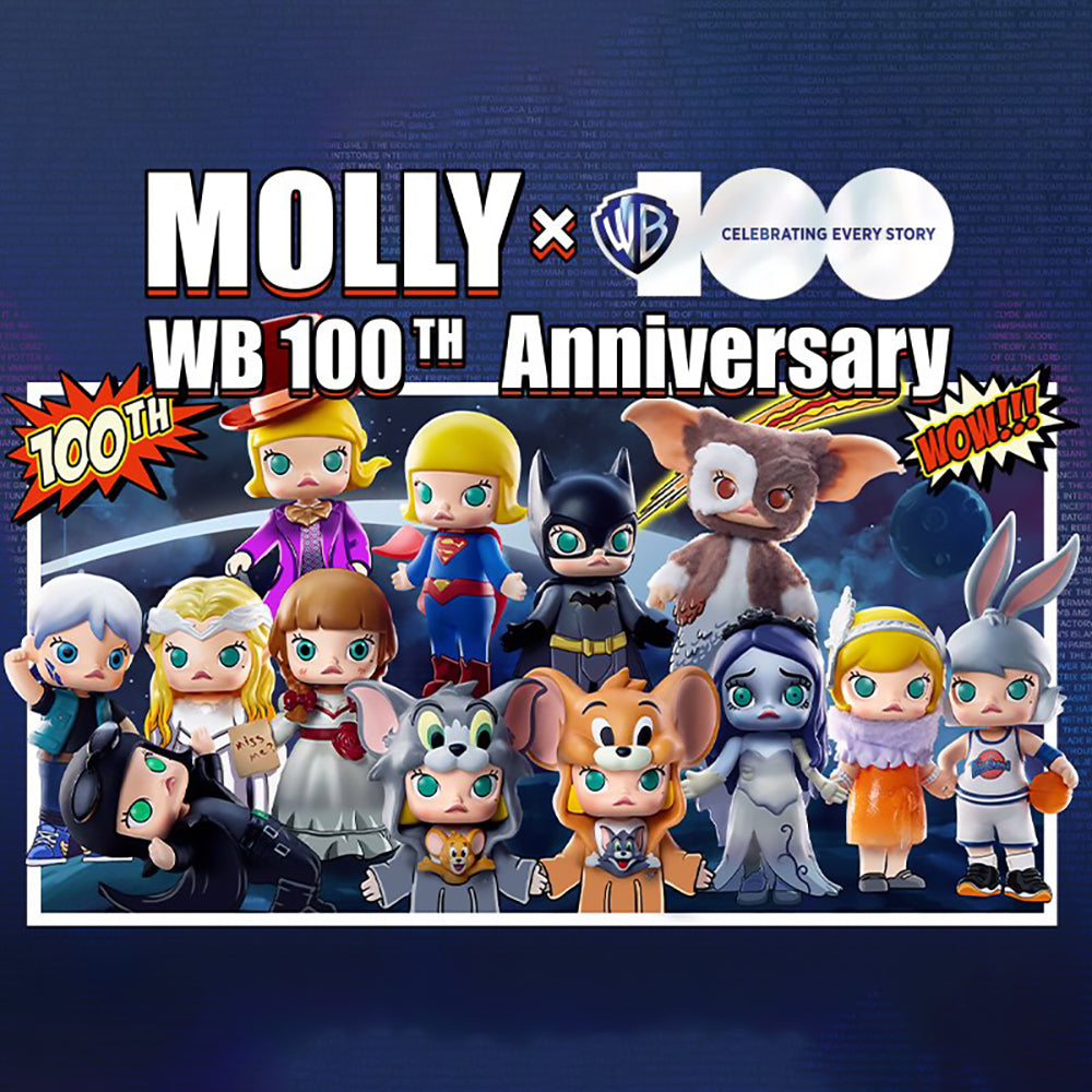 MOLLY x Warner Bros. 100th Anniversary Blind Box Series by POP MART