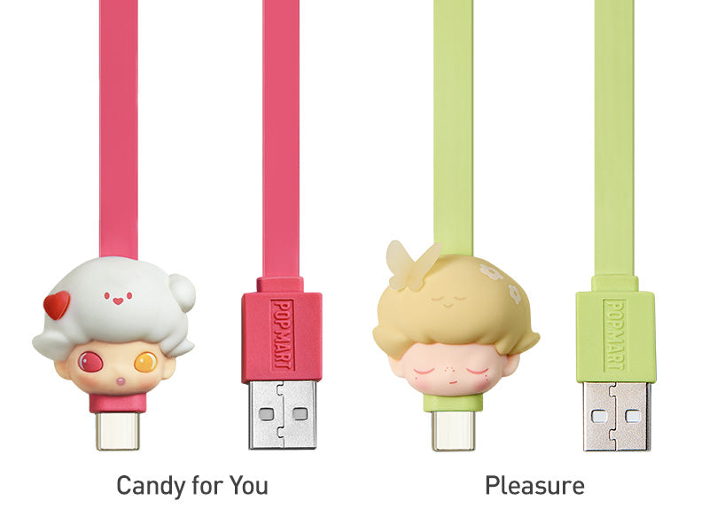 Dimoo By Your Side Series USB Type-C Cable Blind Box