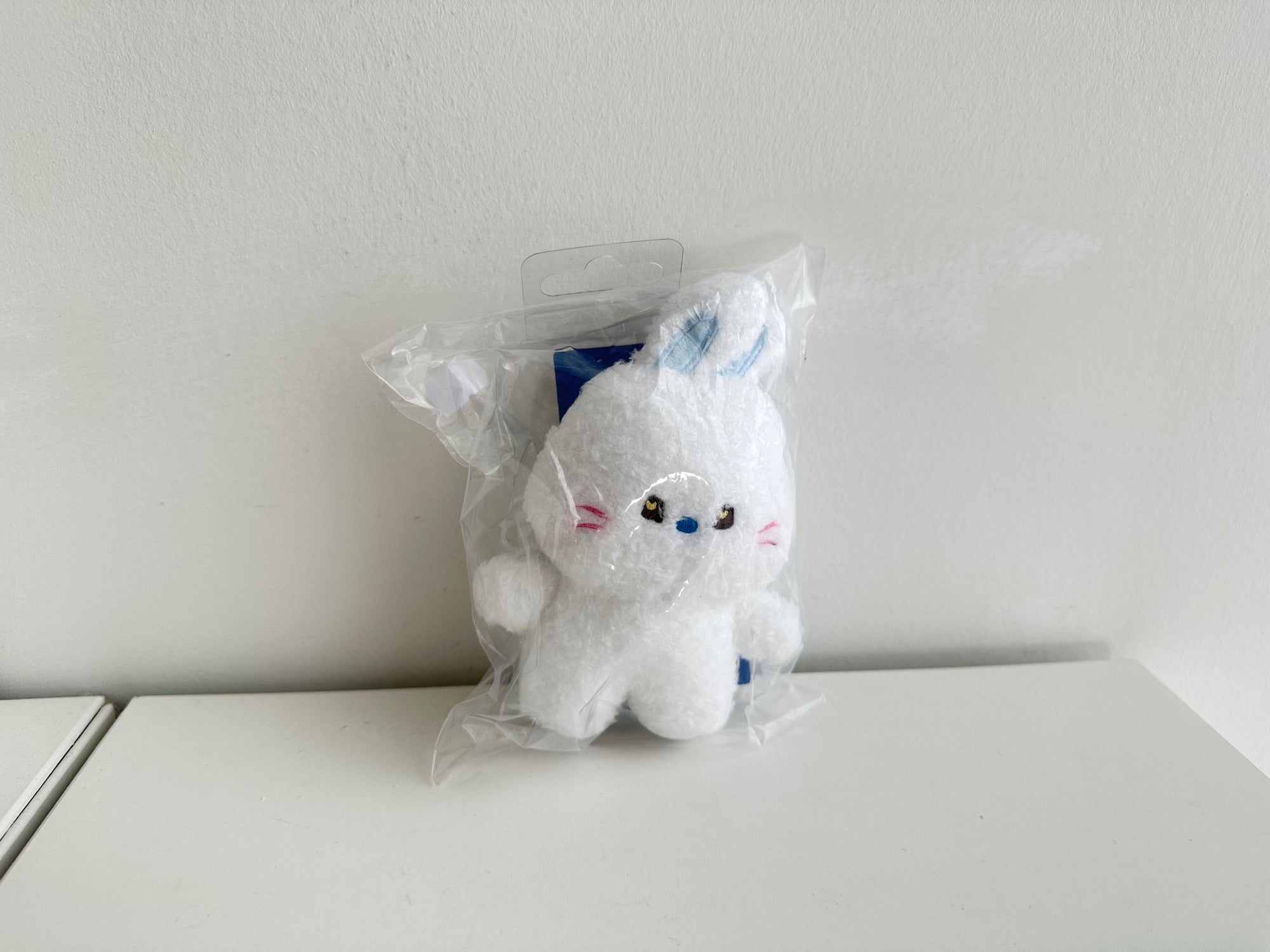 WHITE - NEWJEANS BUNINI MEDIUM-SIZED PENDANT BY LINE FRIENDS  - 1