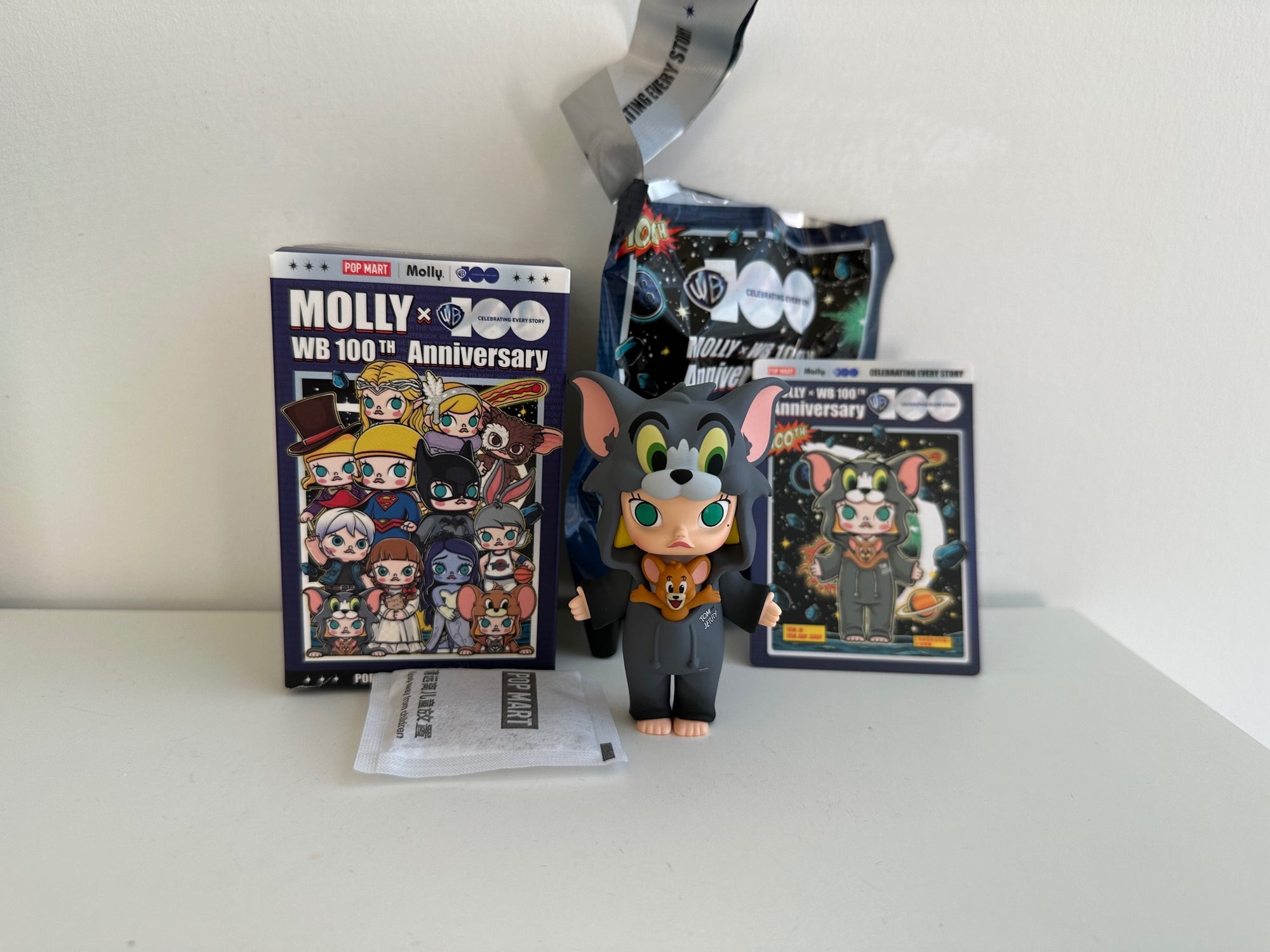 Tom in TOM AND JERRY - MOLLY x Warner Bros. 100th Anniversary Blind Box Series by POP MART - 1