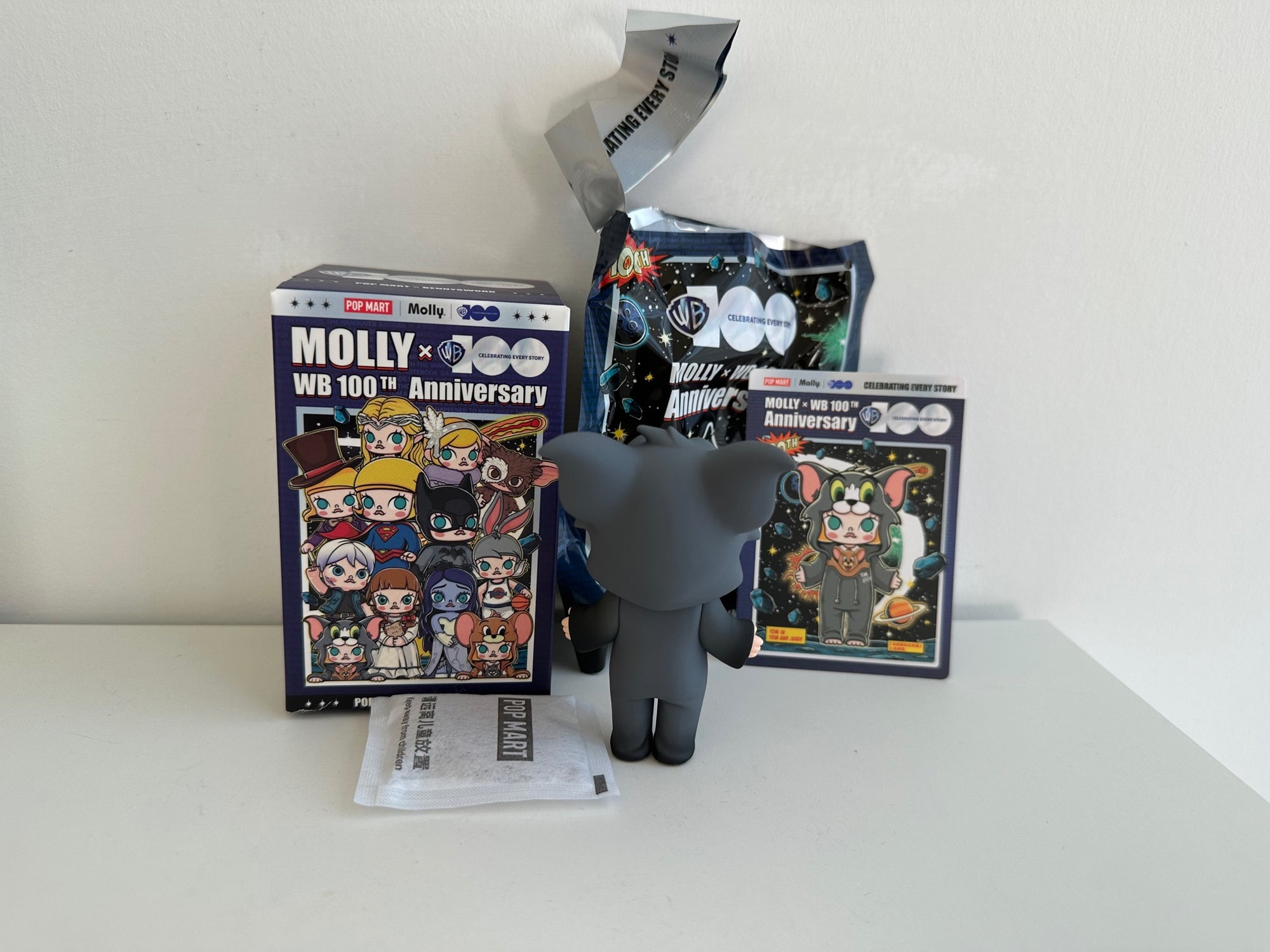 Tom in TOM AND JERRY - MOLLY x Warner Bros. 100th Anniversary Blind Box Series by POP MART - 3