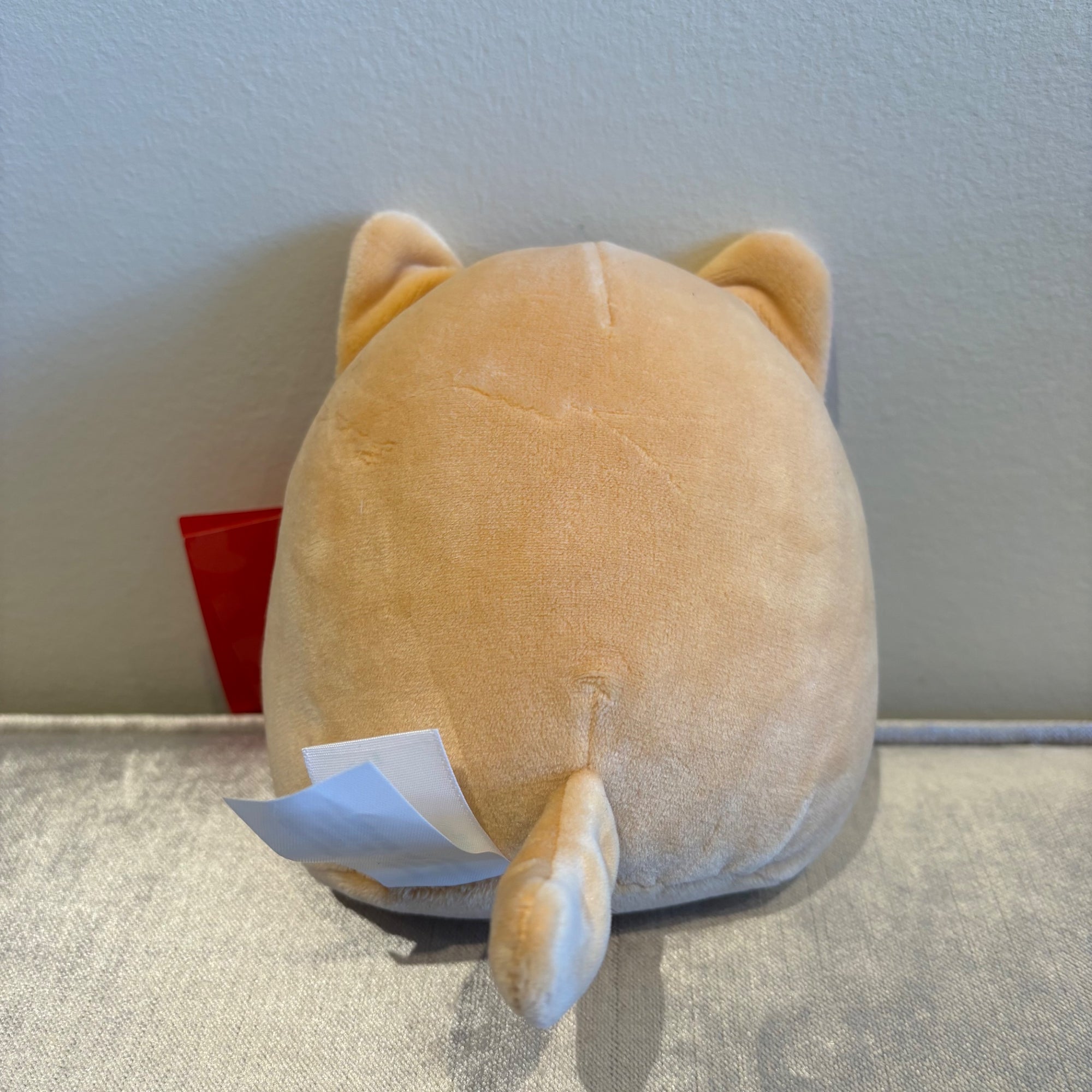 5” Nathan the Cat - Superstore Exclusive by Squishmallows - 1