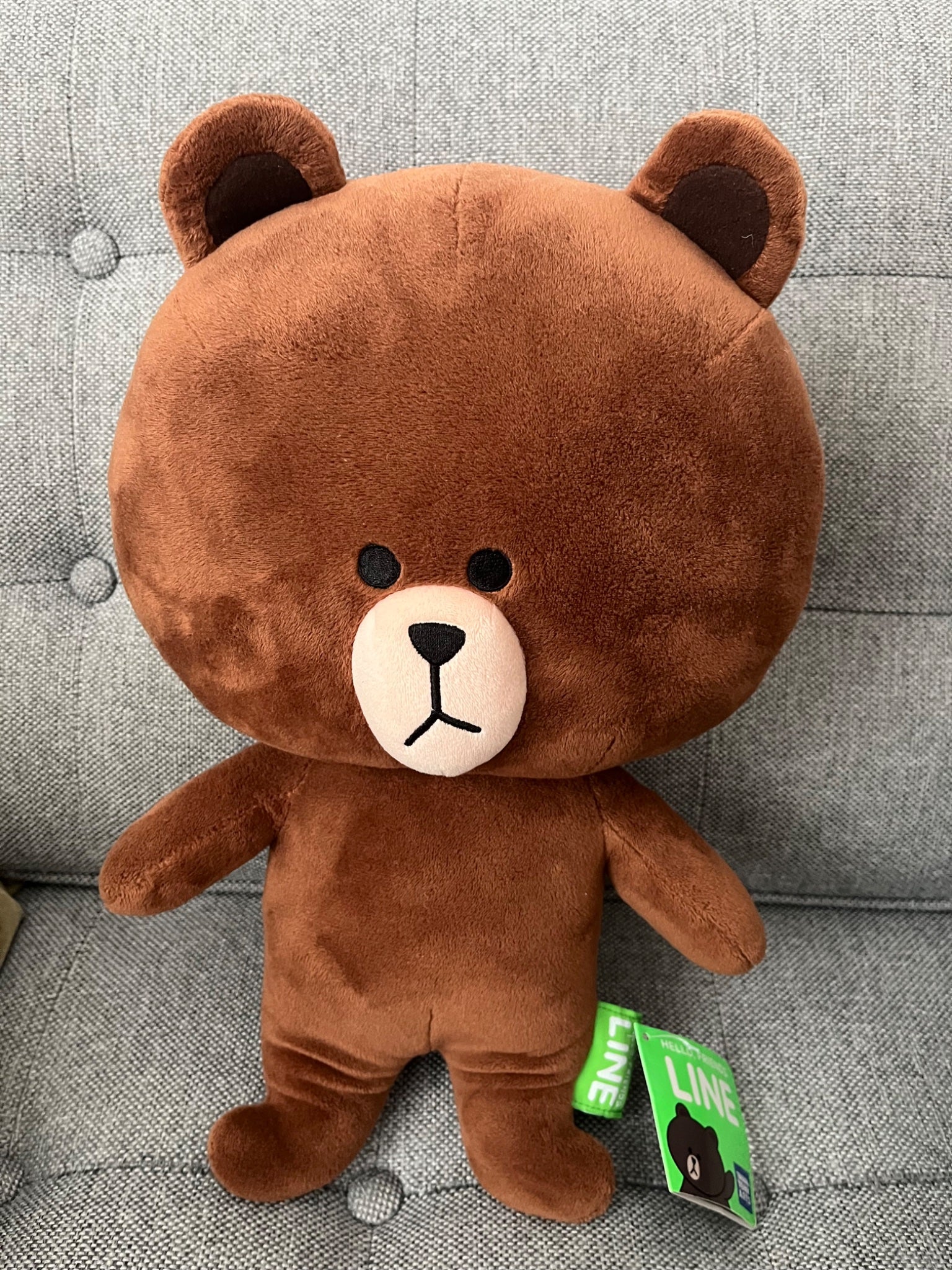 Line Brown Bear Plush - 1