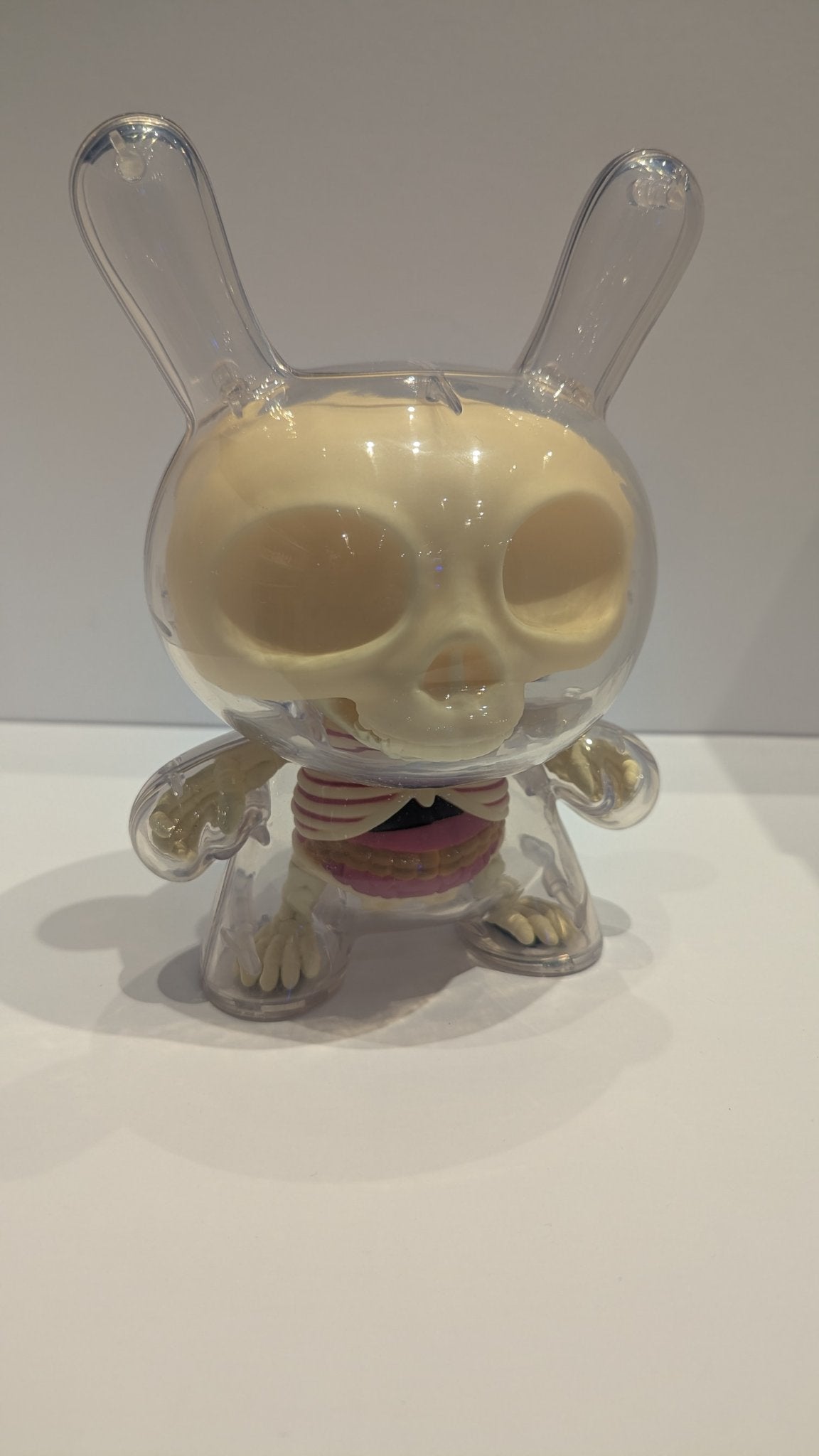 The Visible Dunny by Jason Freeny x Kidrobot - 8 inch Dunny - 1