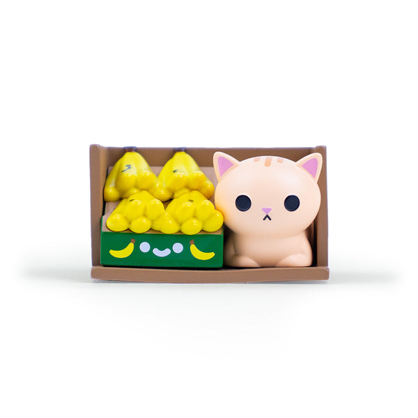 Bodega Kitties Mystery Boxes by 100% Soft