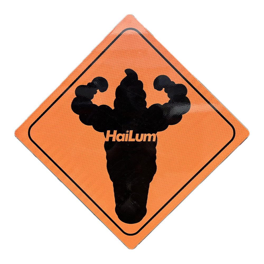 HaiLum40 Street Sign - Diamond (Medium Ver.) by Jimmy Rice