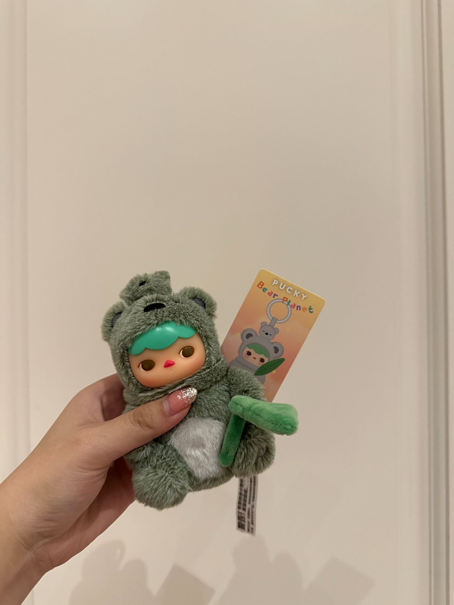 PUCKY Bear Planet  - Koala Bear  - 1