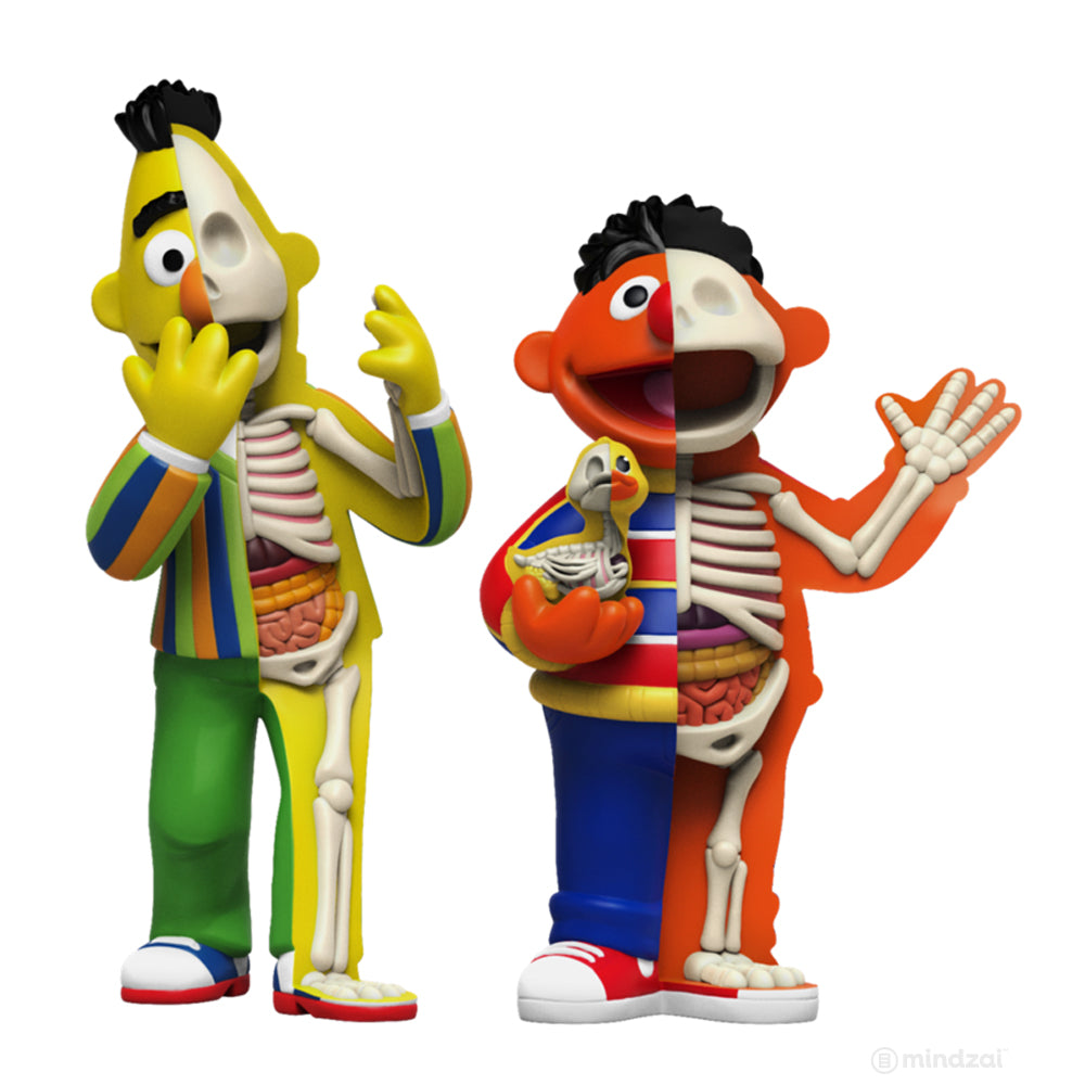 XXRAY Plus Bert and Ernie Sesame Street Art Toy by Jason Freeny x Mighty Jaxx