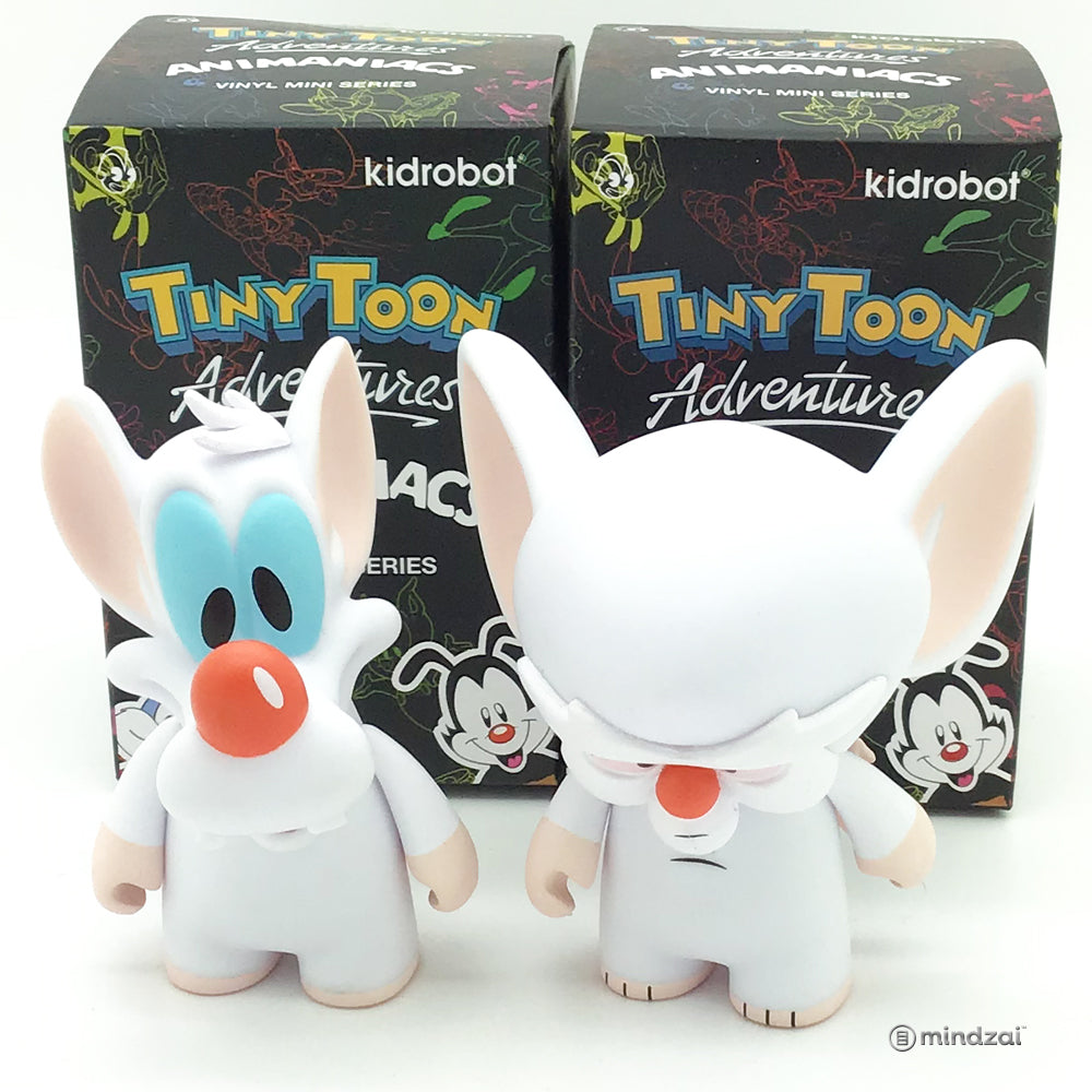 Tiny Toon Adventures Animaniacs Mini Series by Kidrobot - Pinky and the Brain (Set of 2)